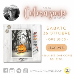 CORSO CARDMAKING CON SARA ZOPPI - ONLINE - CON STAMPE